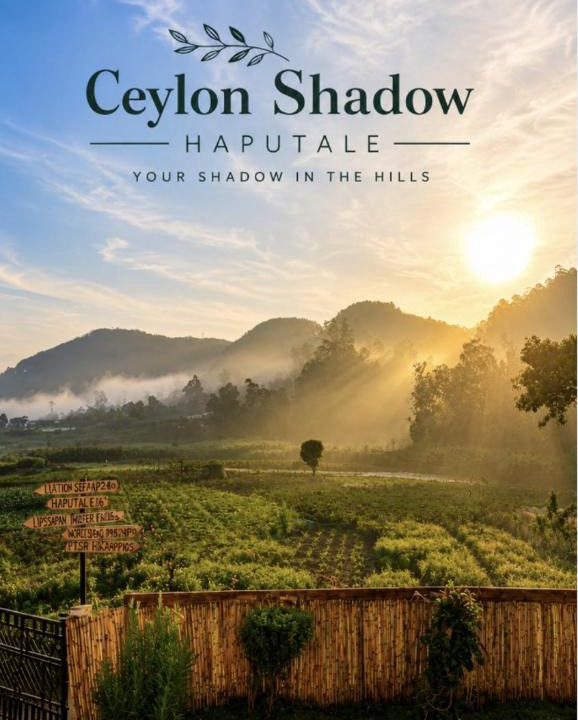 Haputale Apartment | HAPUTHALE Ceylon shadow