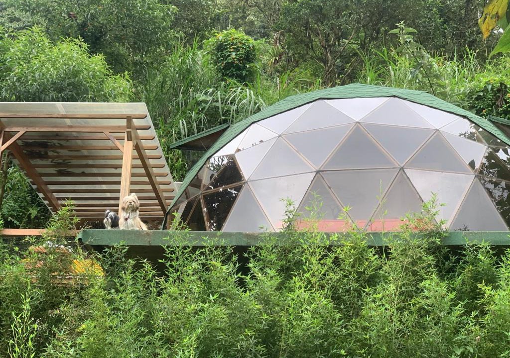 Mindo Apartment | Magic Elf Glamping