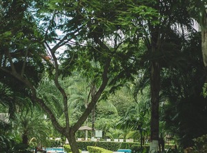 The Beach | Barrio Santa Lucia