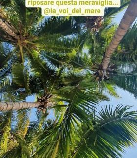 Amitie House | La Voi del Mare