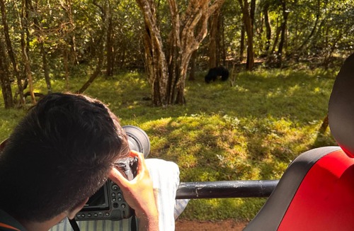 Nochchiyagama Hotel | 5 min from Wilpattu National Park main gate, Chena Hut Safari Resort, Wilpattu