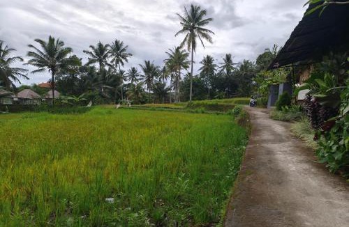 Melayang House | Adhidrawa Ubud