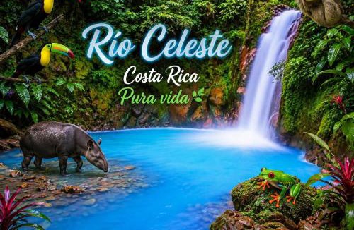 Katira Apartment | Bosque celeste
