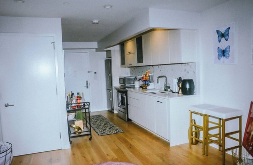 Clinton Hill Apartment | BRIGHT SPACIOUS STUDIO APARTMENT