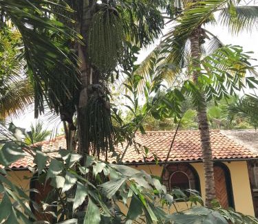 Canoa House | CanoaOasis