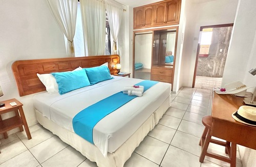 Bahia de la Academia Hostel | Hostal Suenos Silvestres