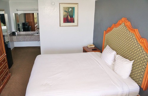 Conroe Hotel | Hotel elev8