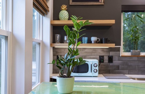 Kitty Hawk Cottage | Kitty Hawk Reserve OBX Tiny House! Hot Tub & Beach included!
