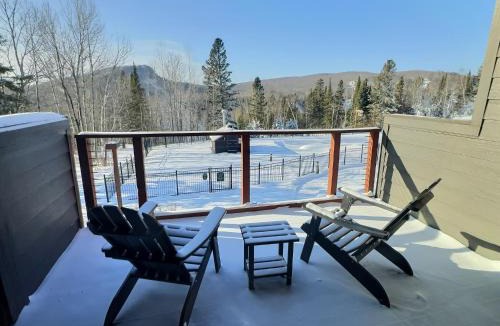 Lutsen Apartment | Mountain Studio Ski Access & Jet Tub