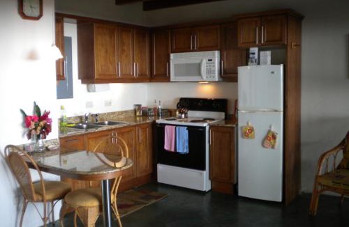 Junquillal Apartment | Plumita Pacifica