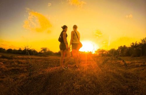 Pahala Maragahawewa Cabin | Safaria Lodge Wilpattu