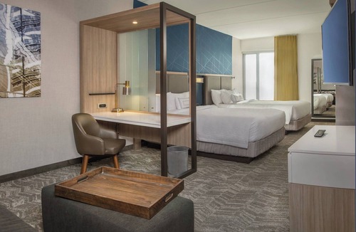 Lakeview Hotel | SpringHill Suites by Marriott Gainesville Haymarket