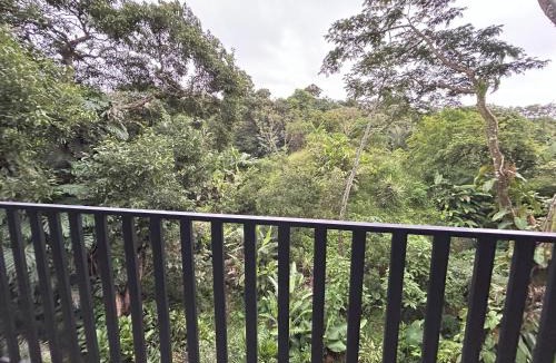 Alajuela Villa | Villa Heliconias