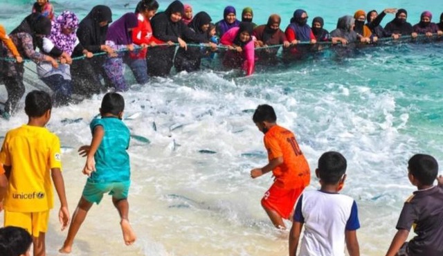 Cozy compact in Thinadhoo