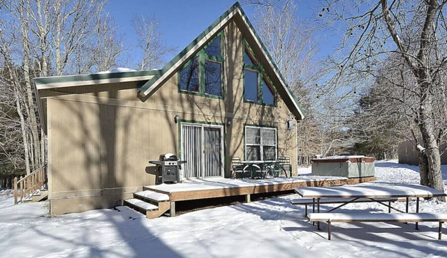 Fabulous Rustic Mountain Cabin walking distance to Timberline Mountain Slopes!