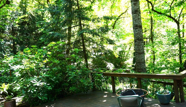 Forest Retreat in Eugene – Stylish Home w/Hot Tub, Chef's Kitchen & Trails