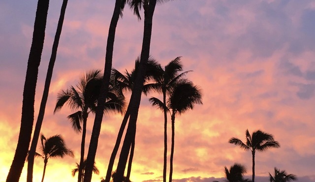 Gorgeous Oceanfront Complex on Maui! Kanai A Nalu, with FREE parking!