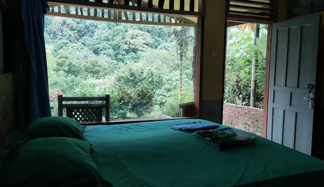 Mountain View Cottages & Villa Tangkahan