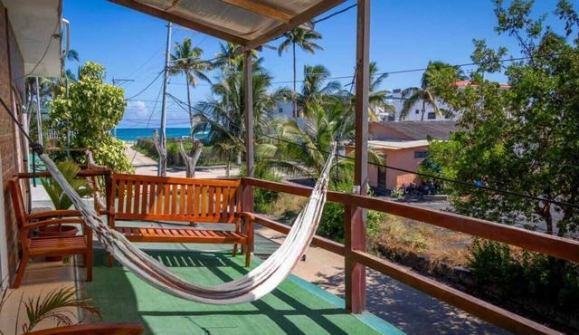 Stay in front of flamingos, meters from the beach in Isabela Galapagos.