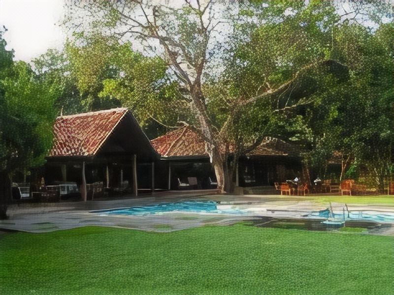 Photo of Outdoor in Sigiriya
