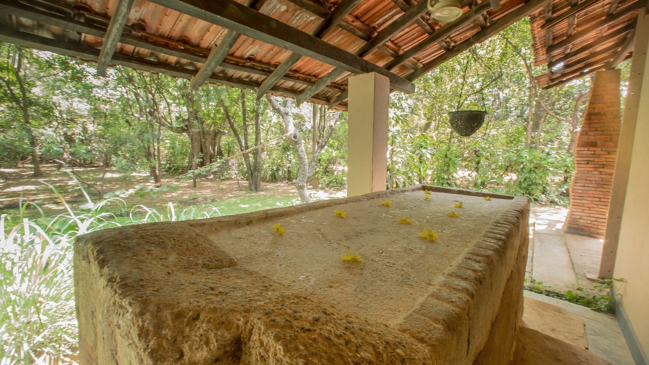 Photo of Others in Sigiriya