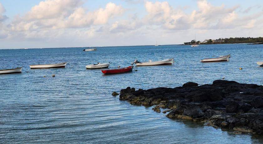 Photo of Others in Calodyne