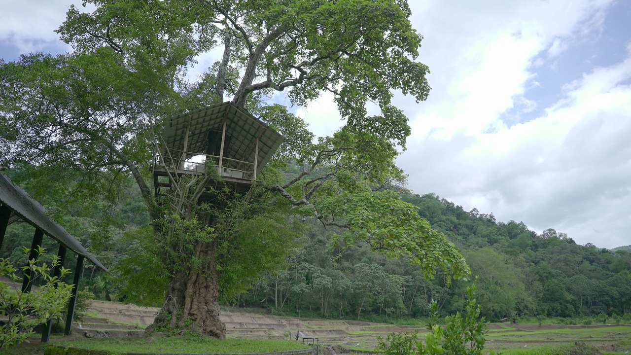 Photo of Outdoor in Ella