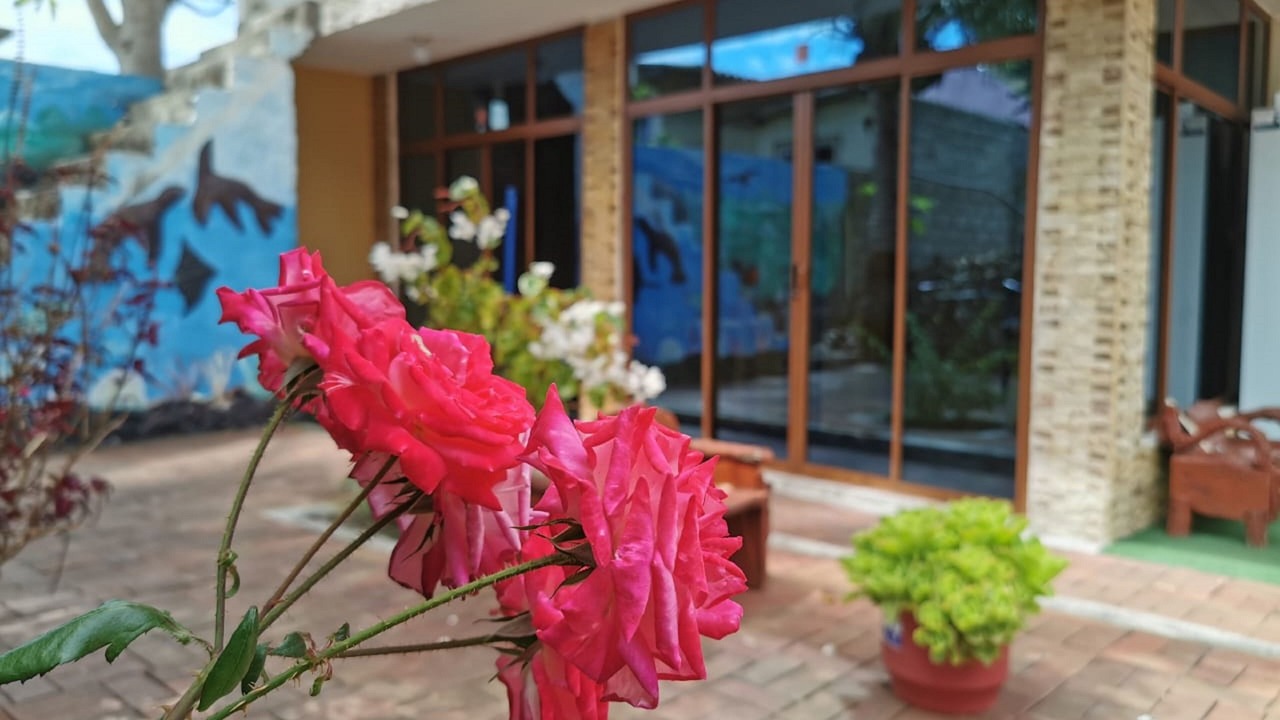Photo of Outdoor in Puerto Baquerizo Moreno