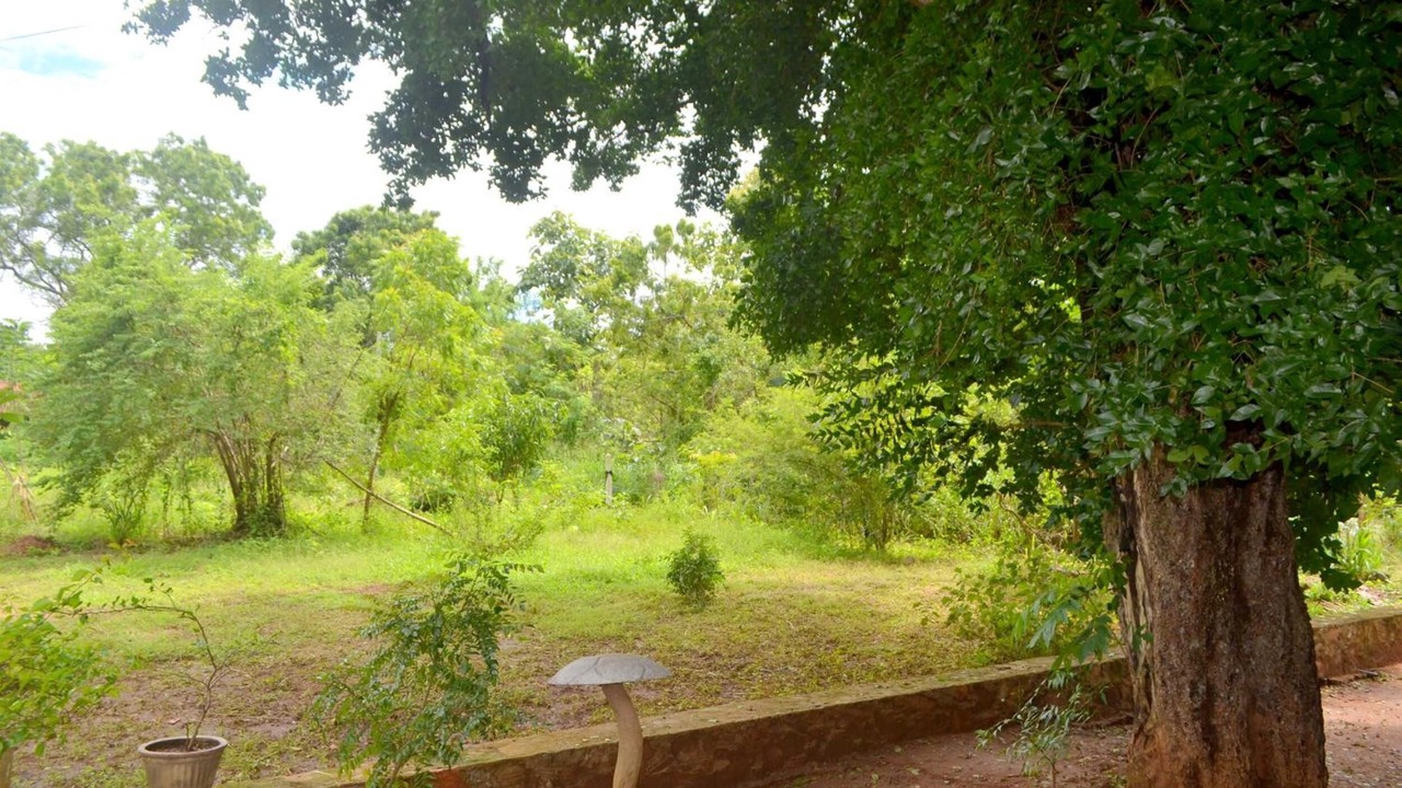 Photo of Outdoor in Pahala Maragahawewa