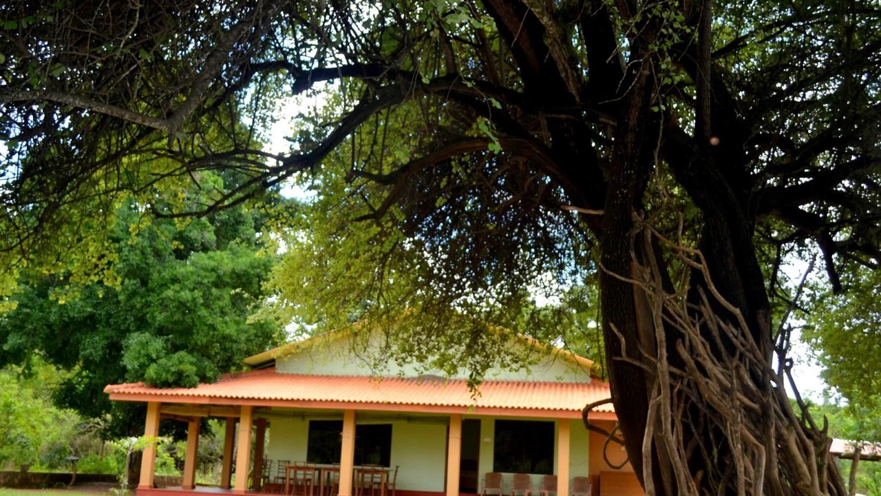 Photo of Outdoor in Pahala Maragahawewa