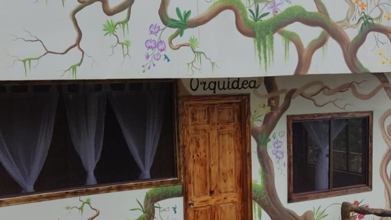 Photo of Outdoor in Drake Bay