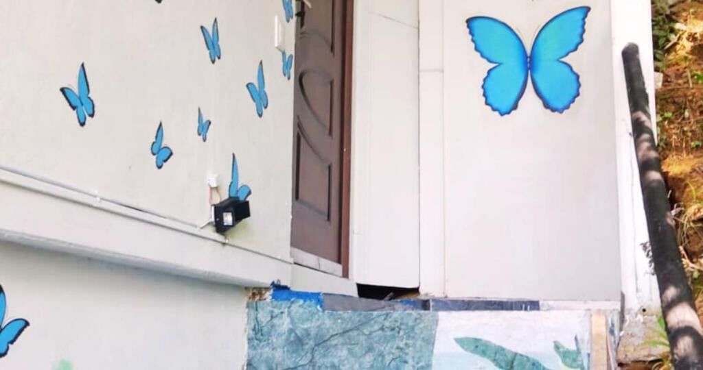 Photo of Outdoor in Drake Bay