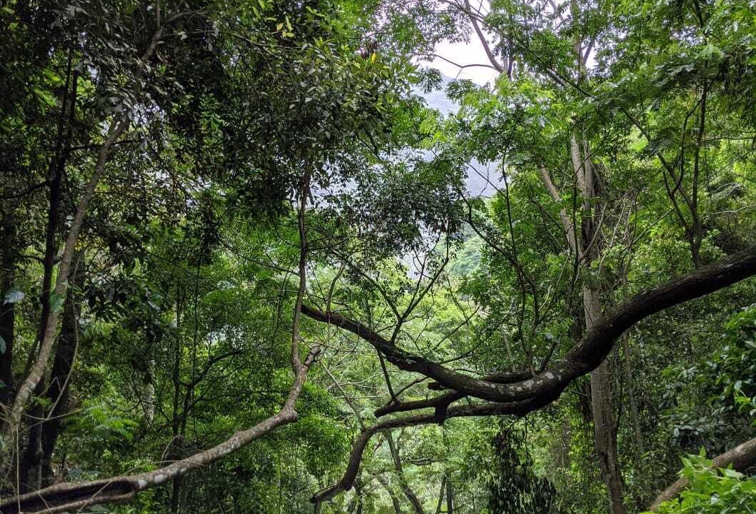 Photo of Outdoor in Hildummulla