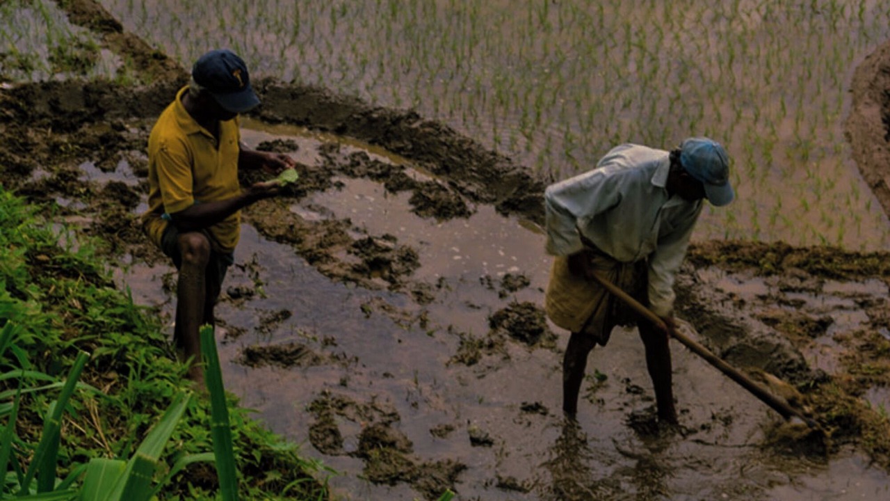 Photo of Outdoor in Kotapola