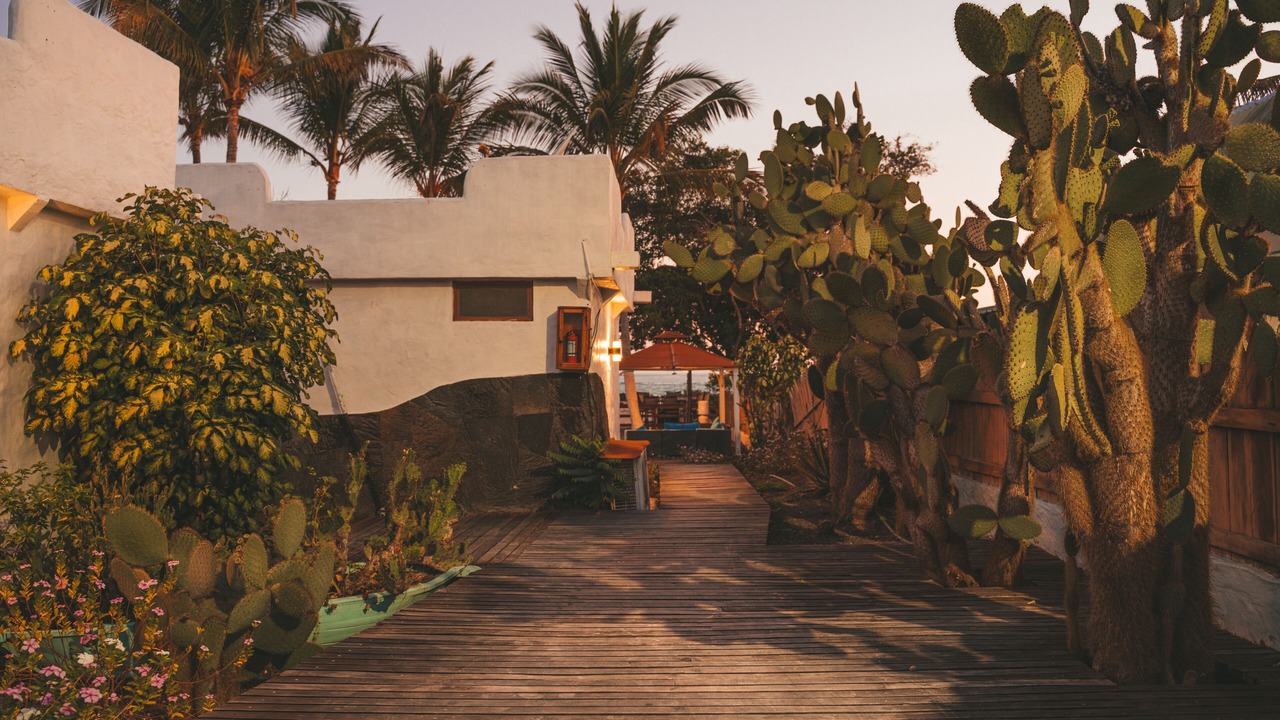 Photo of Outdoor in Puerto Villamil
