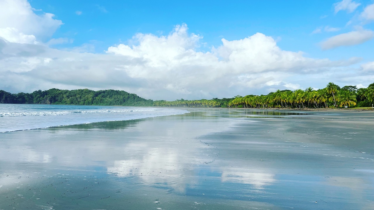 Photo of Others in Puerto Carrillo