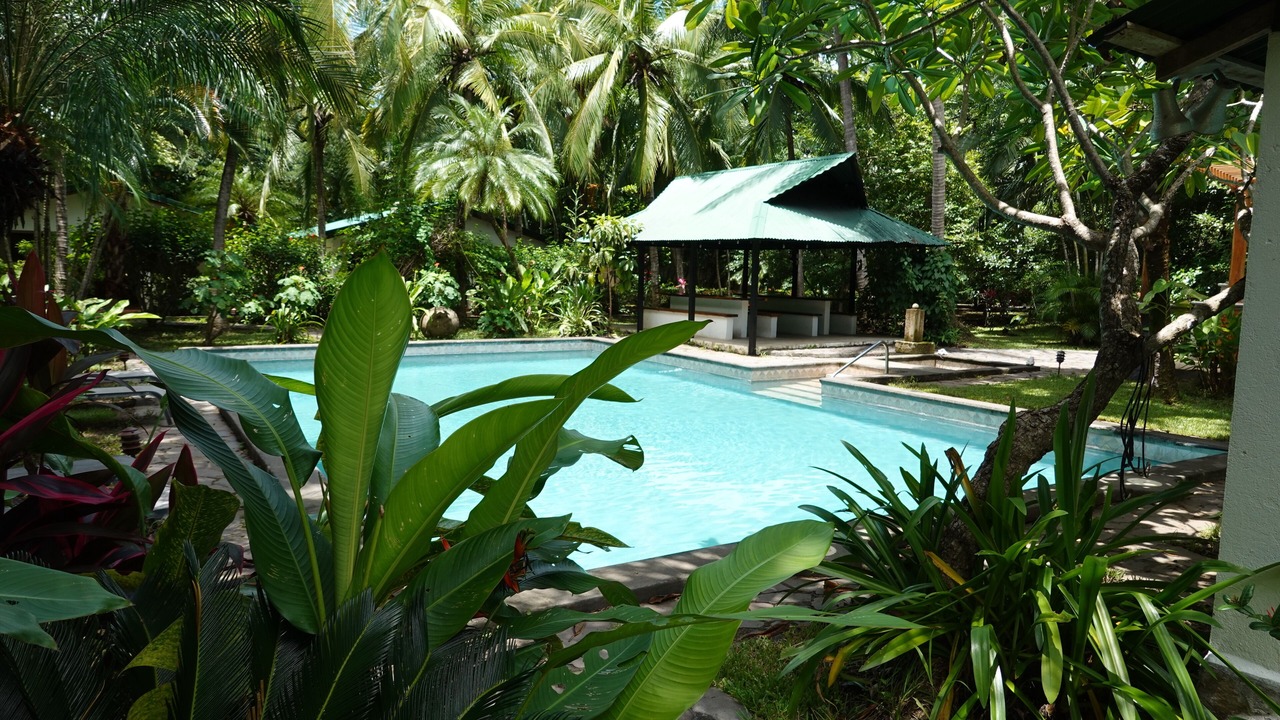 Photo of Outdoor in Santa Cruz