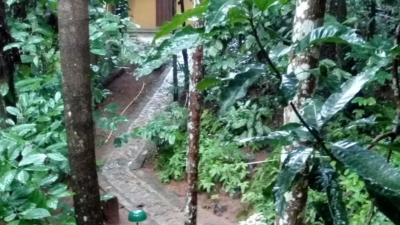 Photo of Outdoor in Embilipitiya