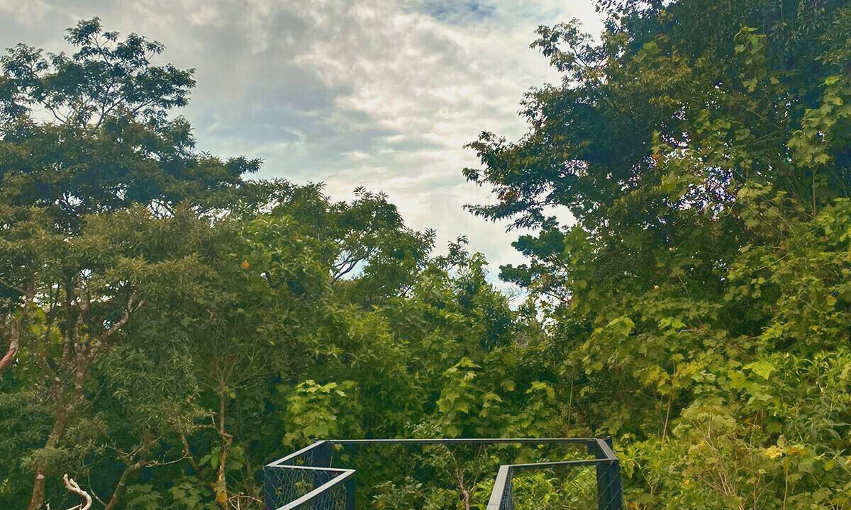 Photo of Patio Balcony in Monteverde