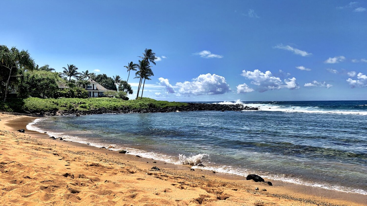 Photo of Others in Poipu