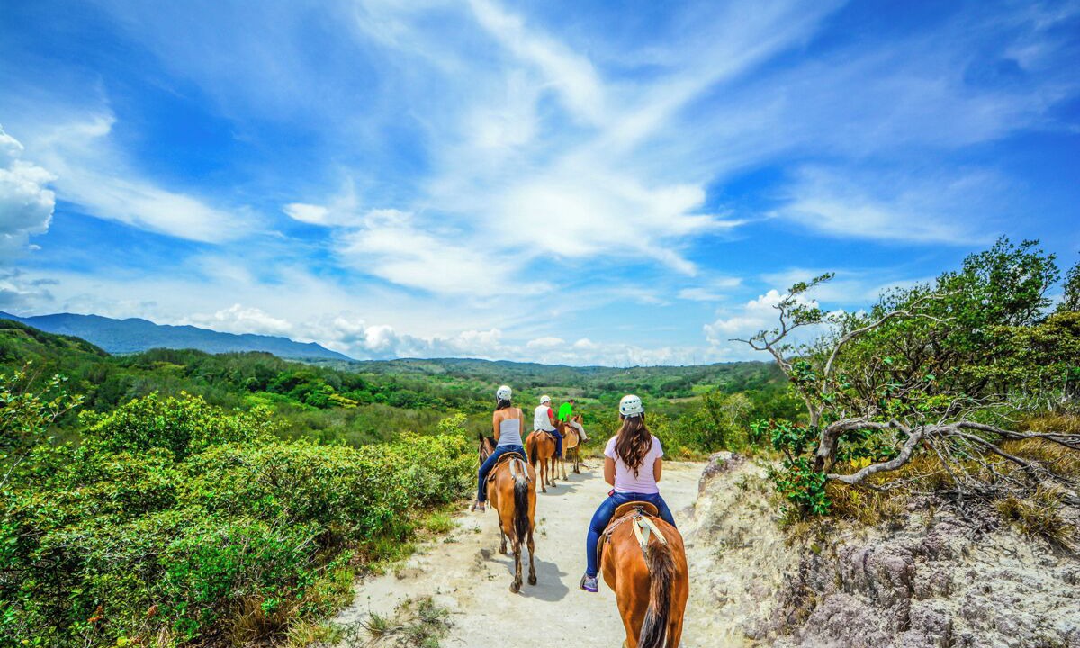 Photo of Others in Mogote de Bagaces