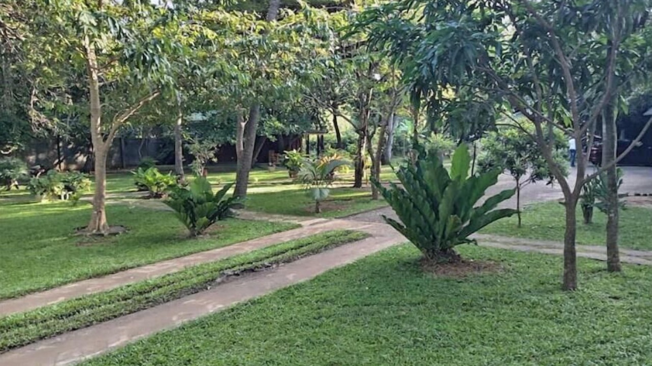 Photo of Outdoor in Ranawaranawa