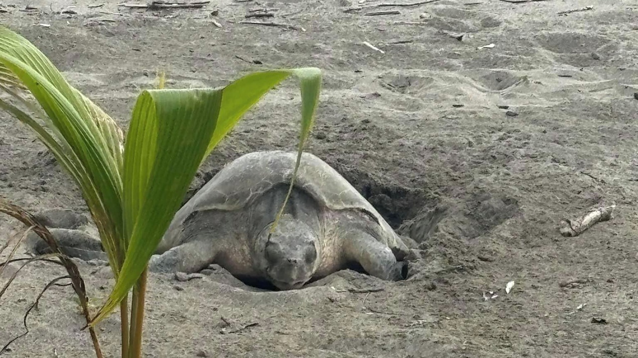 Photo of Others in Samara