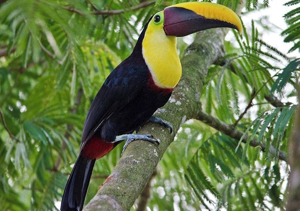 Photo of Others in Ojochal