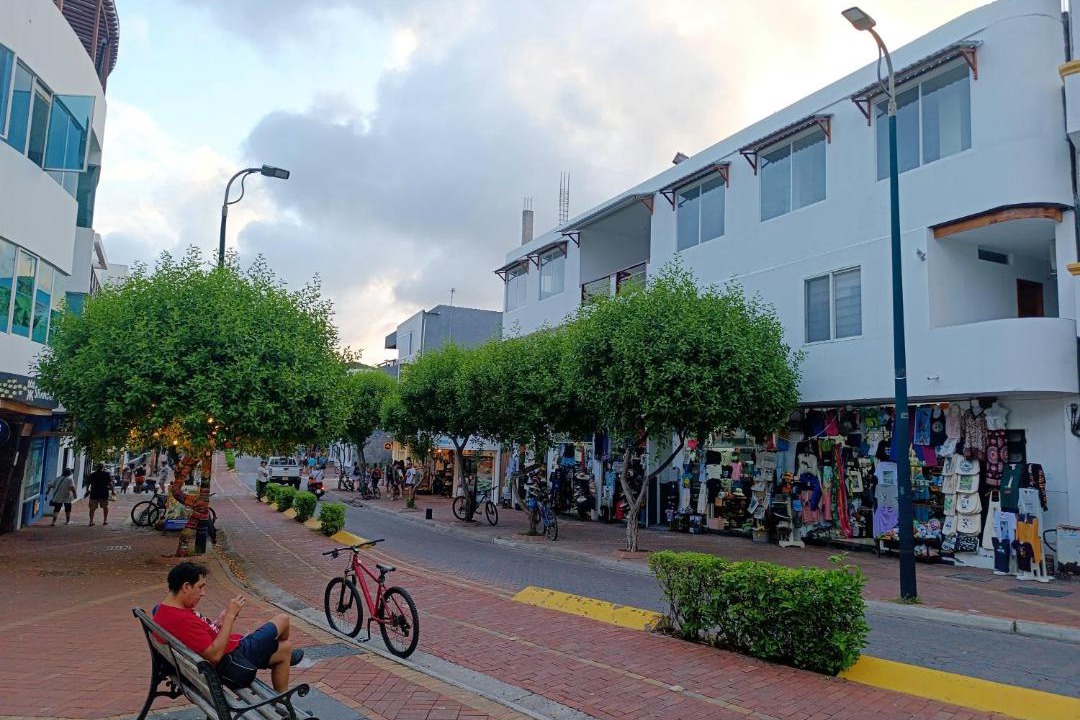 Photo of Others in Bahia de la Academia