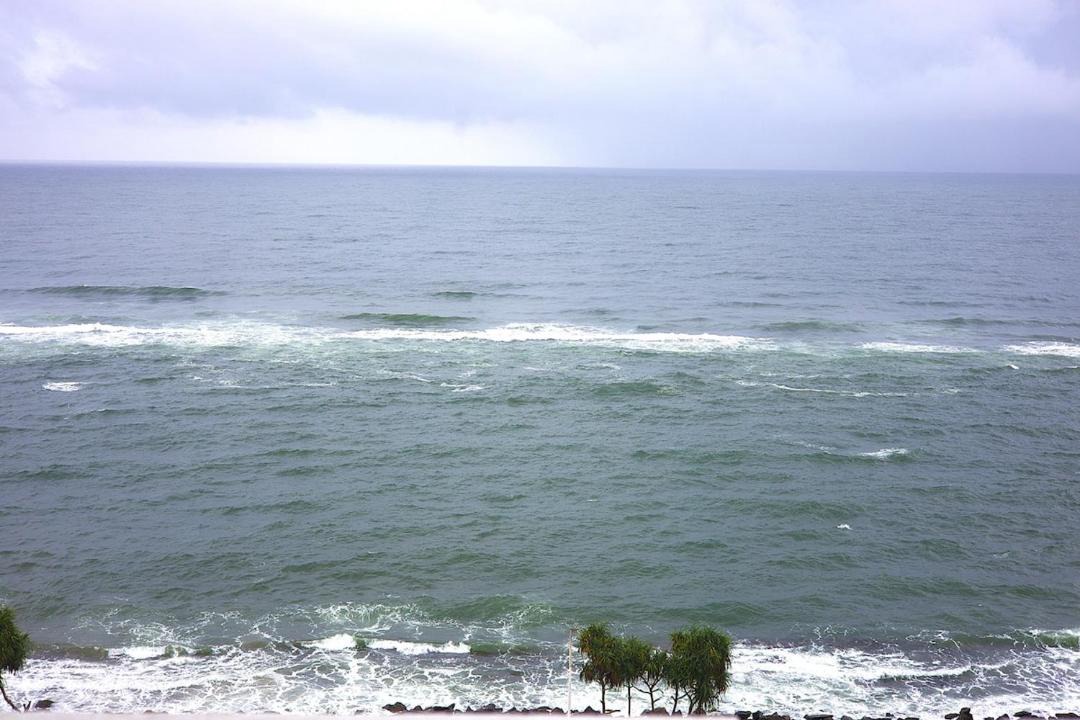Photo of Others in Wellawatta South