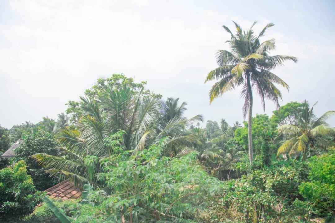 Photo of Others in Kalutara