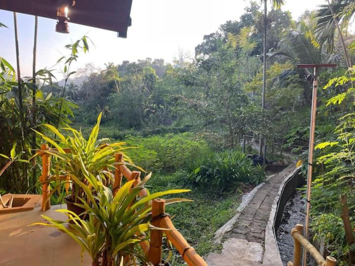 Photo of Others in Harispattuwa