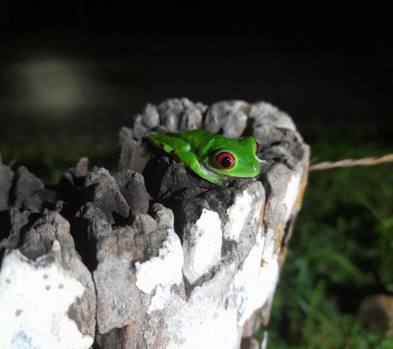 Photo of Others in Rancho Quemado