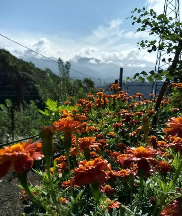 Photo of Outdoor in Digana